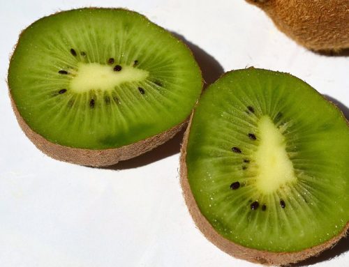 Kiwi Extract vs Kiwi Powder: What Formulators Are Actually Specifying